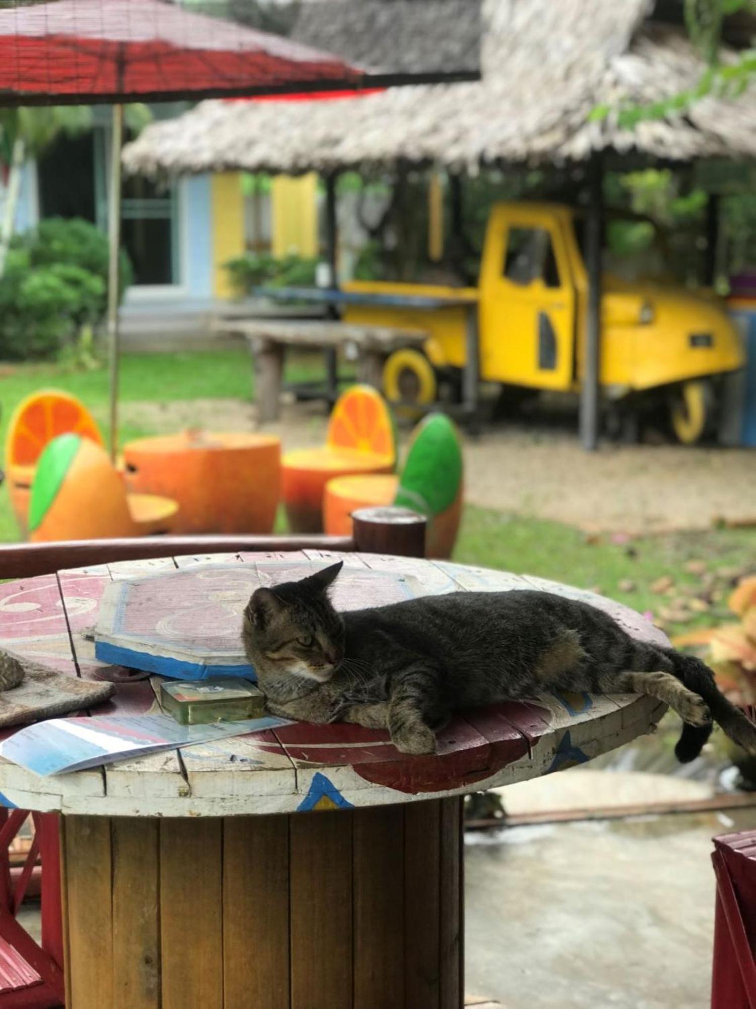 Chill Out Village Ao Nam Mao Екстер'єр фото